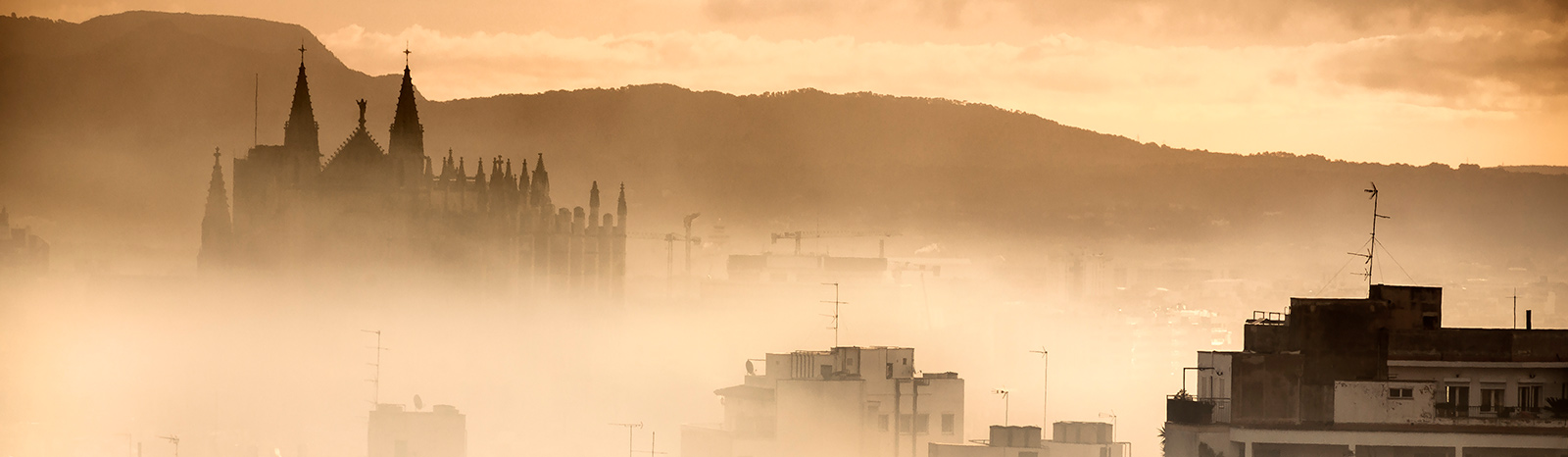 Cattedrale di Palma di Maiorca nella nebbia
