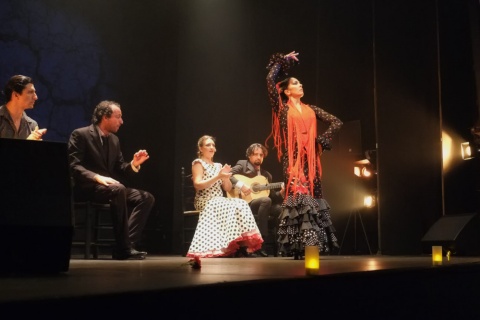  Espetáculo de flamenco no Teatro Flamenco de Madri