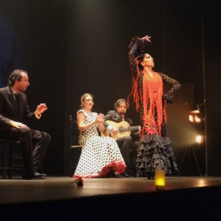 Espectáculo de flamenco en el Teatro Flamenco de Madrid