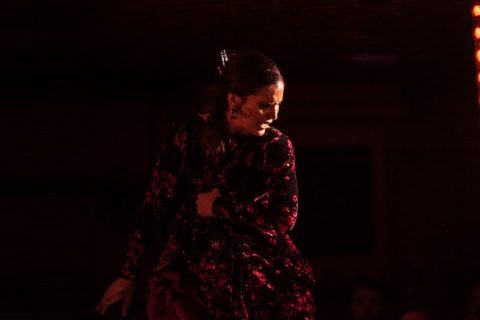 Detalle de actuación en tablao flamenco