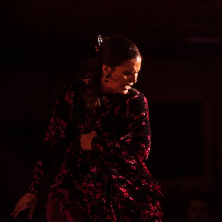 Un spectacle dans un cabaret de flamenco