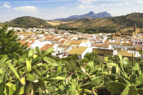 Panoramic view of Algodonales (Cadiz, Andalusia)