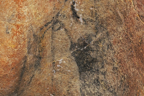 Cueva de Llonin, pintura rupestre. Asturias.