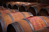 Wine barrels in an old winery in Ribera del Duero, Castilla y Leon