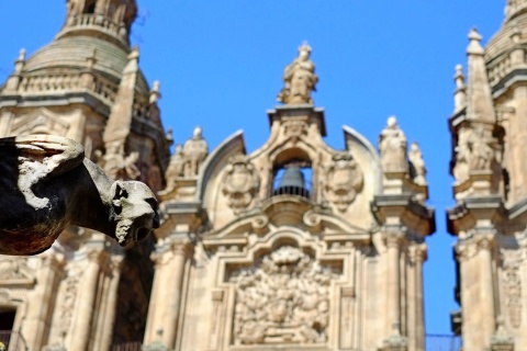 Cattedrale di Salamanca