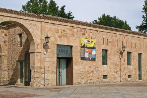 バルタサール・ロボ美術館。サモラ