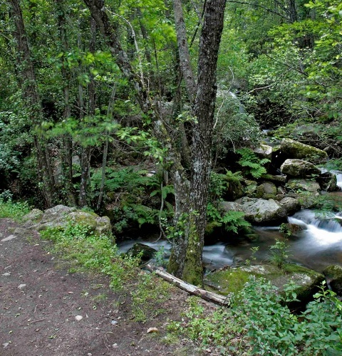 Rzeźba „Camino del Agua” (Droga wody) na Obszarze Chronionego Krajobrazu Batuecas-Sierra de Francia. Salamanka