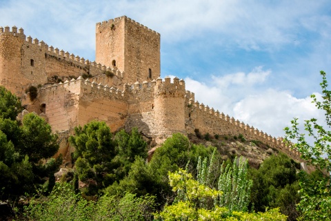 Замок в Альмансе. Альбасете. Кастилия—Ла-Манча.