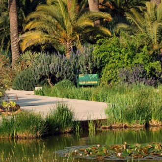 Botanischer Garten Barcelona