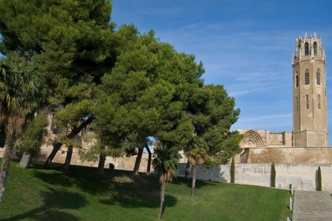 Cattedrale Vecchia di Lleida (Seu Vella)