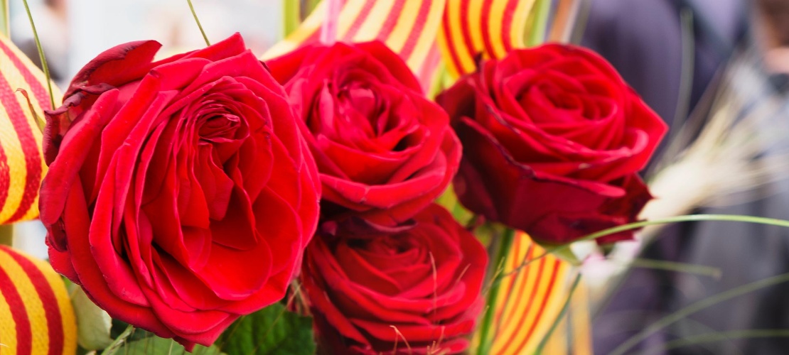 Ramo di rose nel giorno di Sant Jordi. Barcellona