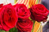 Bukiet róż w dniu Sant Jordi. Barcelona