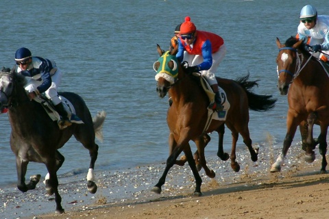 Courses de chevaux sur la plage
