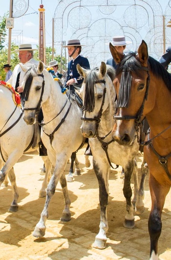 Jerez de la Frontera Horse Fair