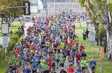 Edição 2016 da Palma Marathon