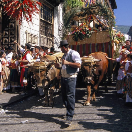 Corpus Christi and Popular Procession of San Isidro in La Orotava (Tenerife, Canary Islands)
