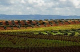 Пейзаж на маршруте вина и кавы Рибера-дель-Гвадиана