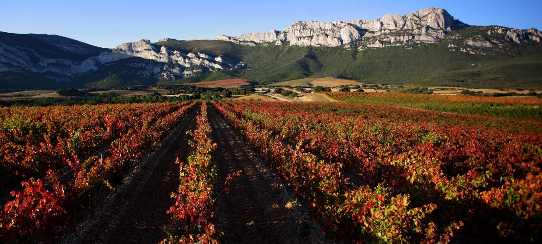 Paisaje de la Ruta del Vino Rioja Alavesa