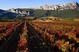 Krajobraz na Szlaku Wina Rioja Alavesa