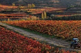 Landscape on the Rioja Alavesa Wine Route