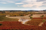 Пейзаж на маршруте виноделия в Сомонтано