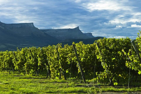 Landscape on the Txakoli Wine Route