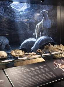 Museo Arqueológico y Paleontológico de la Comunidad de Madrid