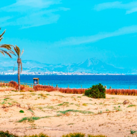 Der Strand Arenales del Sol in Elche in Alicante, Valencia