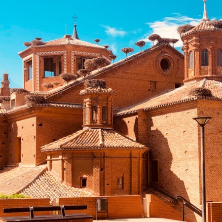 Stiftskirche San Miguel in Alfaro. Die größte Storchenkolonie Europas