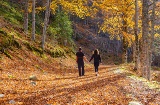 Un couple se promène dans le parc naturel de la Sierra de Cebollera, La Rioja