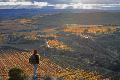 Wanderer blickt auf die Weinberge von San Vicente de la Sonsierra. La Rioja