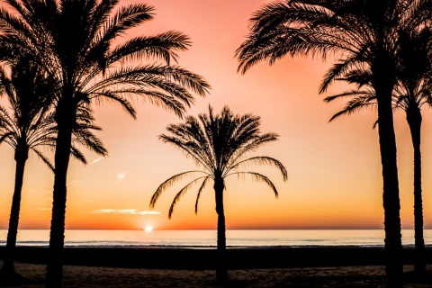  バレンシア州のクリェラビーチの夜明け