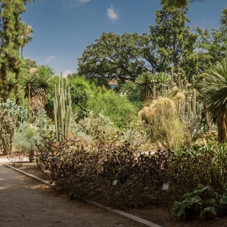 Botanischer Garten der Universität Valencia