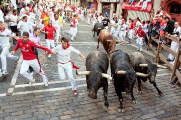 Бег с быками во время праздника Сан-Фермин в Памплоне (Наварра)