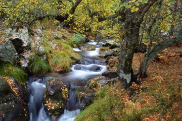 Une rivière en automne