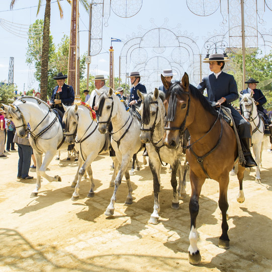 Pferdemesse von Jerez de la Frontera