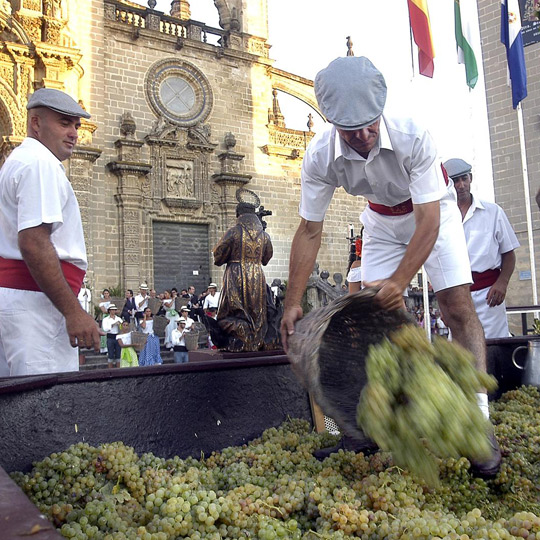 Deptanie winogron podczas dożynek winiarskich w Jerez 