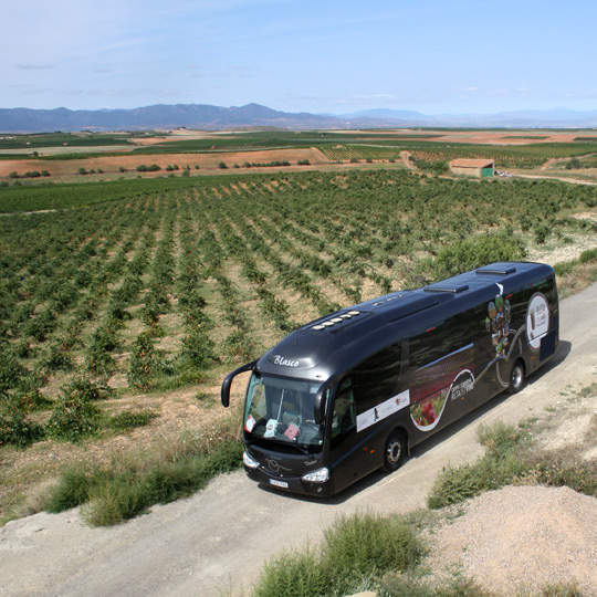Reisebus auf der Weinstraße von Cariñena