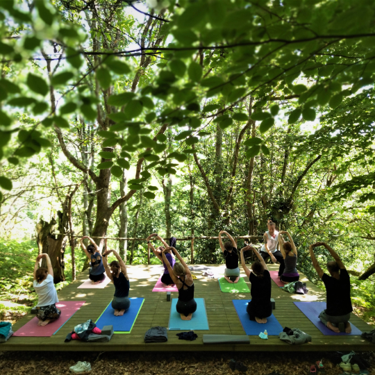 Gruppo di studenti che pratica yoga nel Bosco Perdido a Cereceda, Asturie