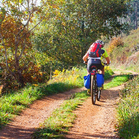  アストゥリアス州の森の中の小道を行くサイクリスト