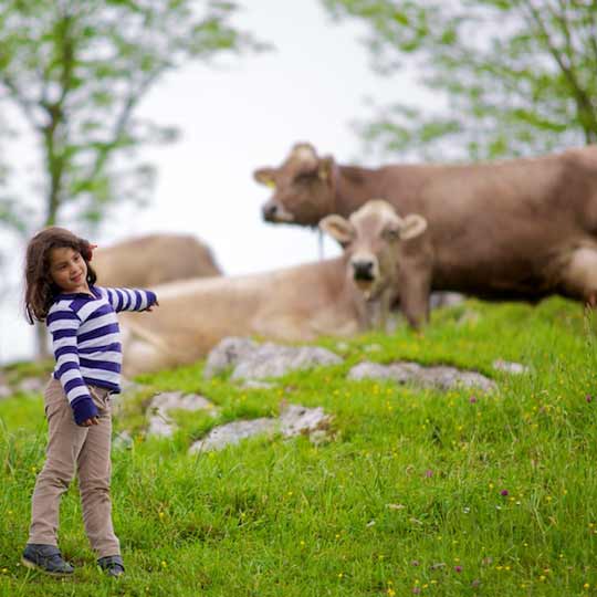 Agrotourism for families in Asturias