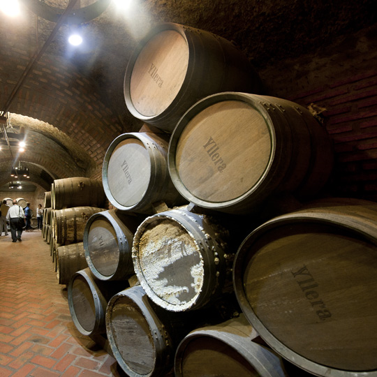 Rueda Wine Route