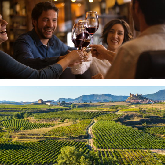 上：ワインで乾杯する友人たち © Turismo la Rioja／下：サン・ビセンテ・デ・ラ・ソンシエラ（ラ・リオハ）のブドウ畑