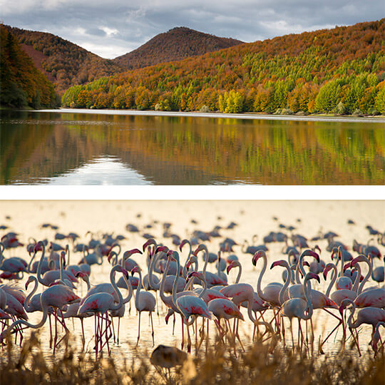 Oben: Stausee von Irati © Gaizka Bilbao. Unten: Flamingos im Nationalpark Doñana