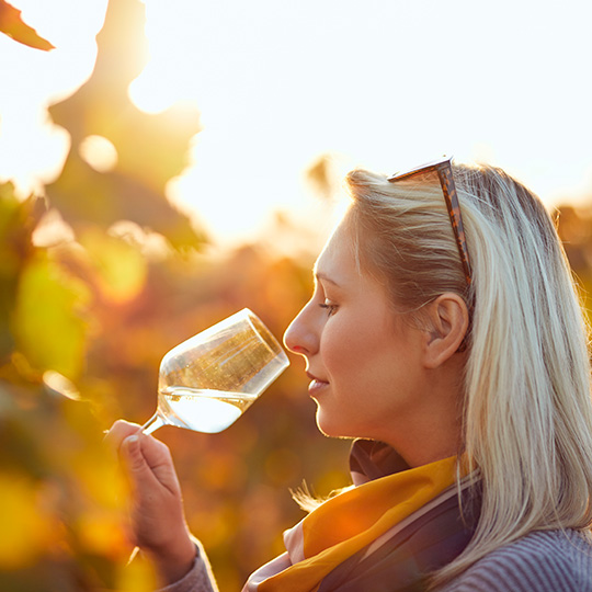 Young woman tasting wines