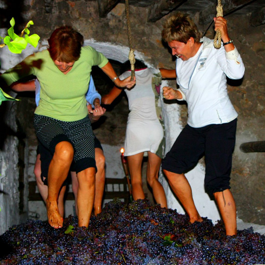 Люди давят виноград на маршруте виноделия в Аликанте