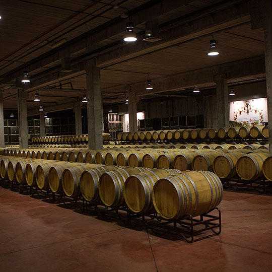 マドリードのワインルートにあるワイン樽