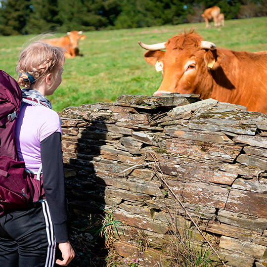 Jeune fille portant un sac à dos près d'une vache