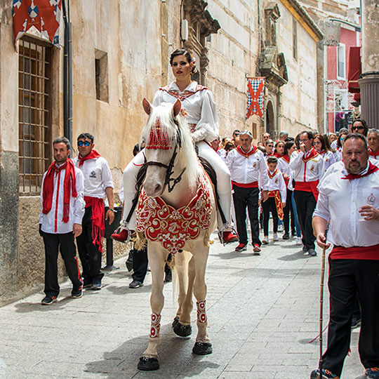 «Винные лошади» в Каравака-де-ла-Крус, Мурсия