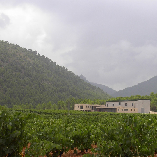 Давильня на маршруте виноделия в Бульясе 